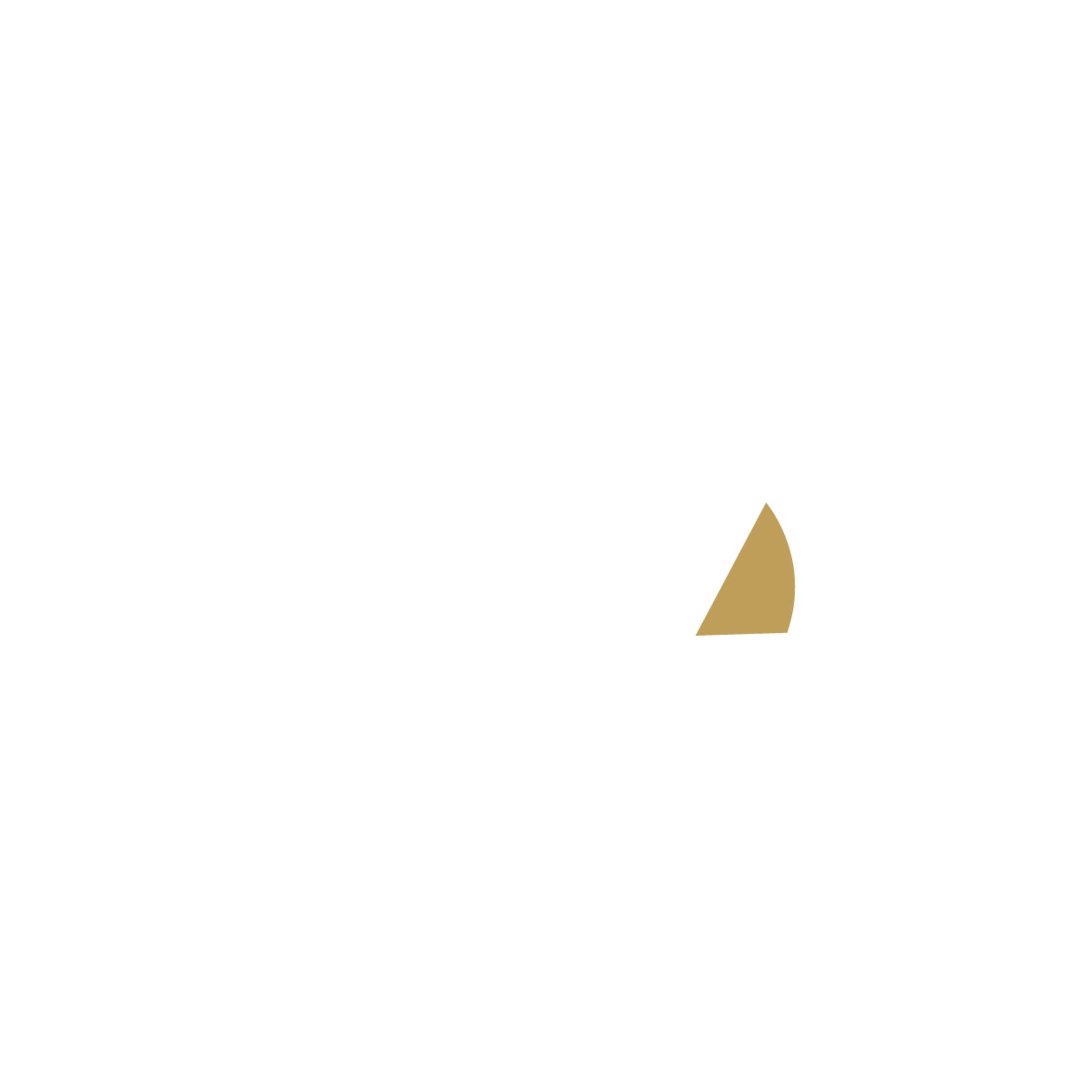 intro-image