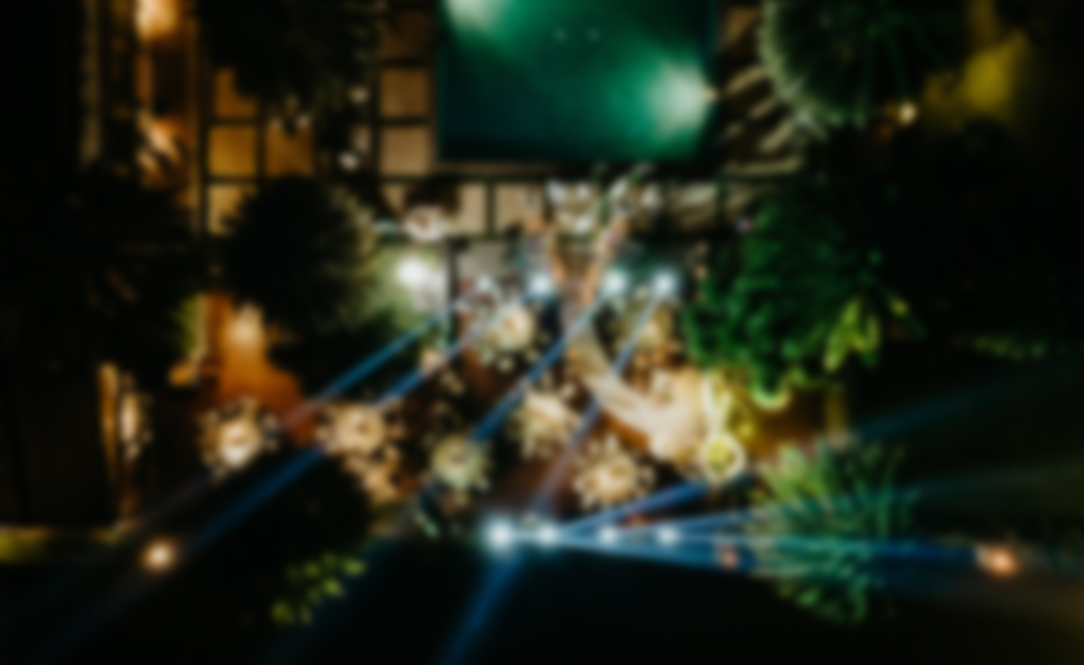NiT Wedding