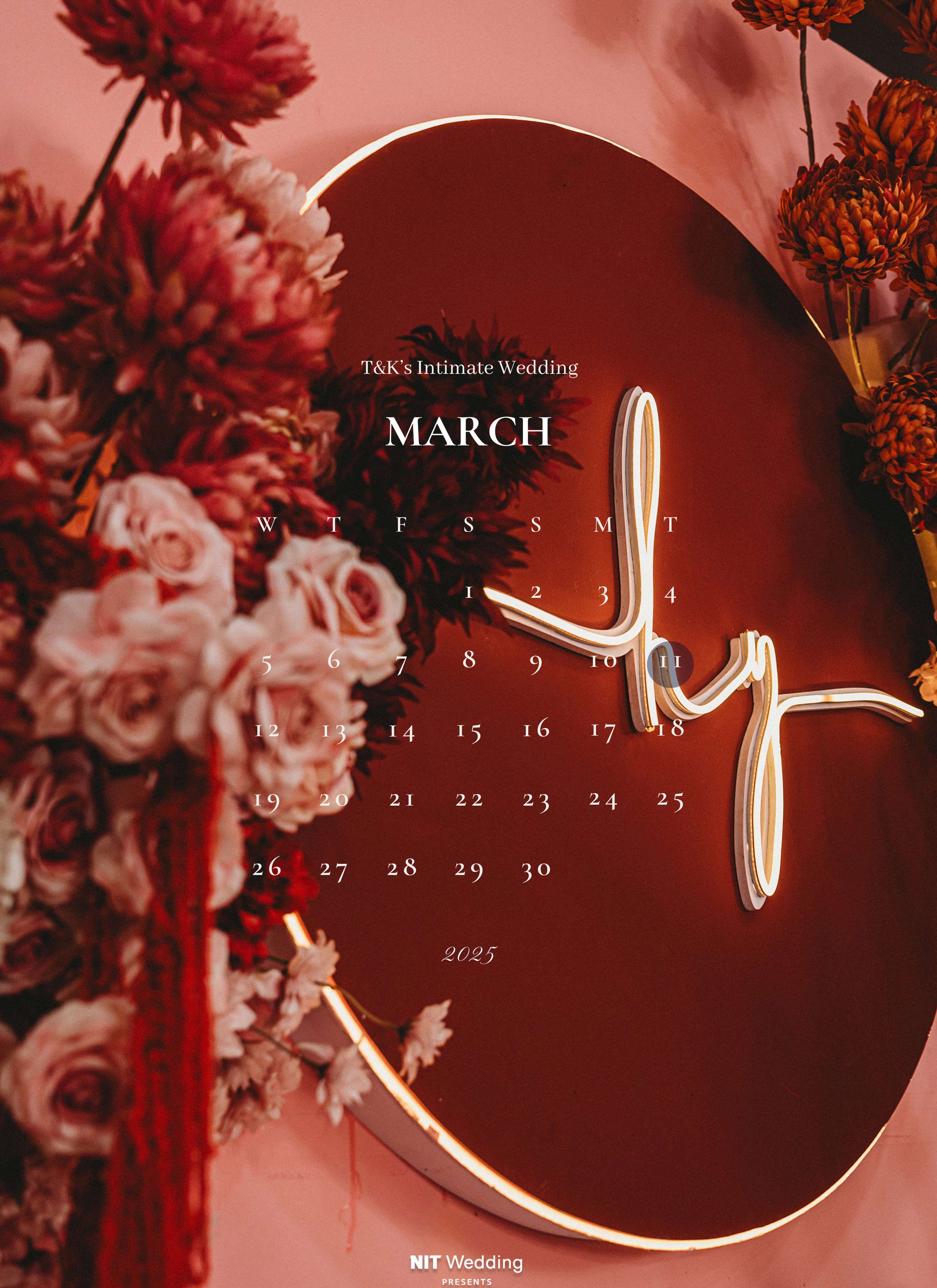 Ảnh 6